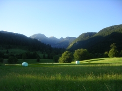 Словенские альпийские луга